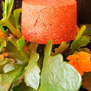 Xampú sòlid eco cabells vermellosos MANJISTHA